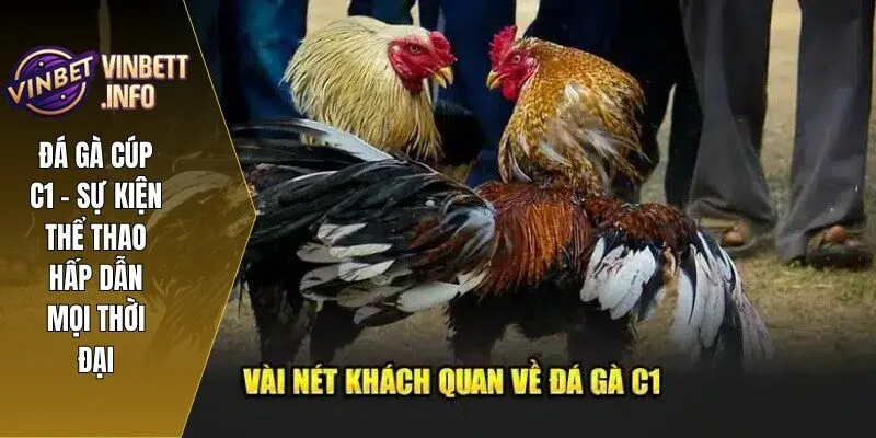 1 da ga cup c1 vinbet